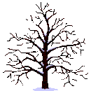 Άβαταρ μέλους