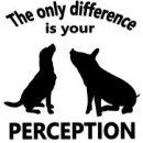 Άβαταρ μέλους